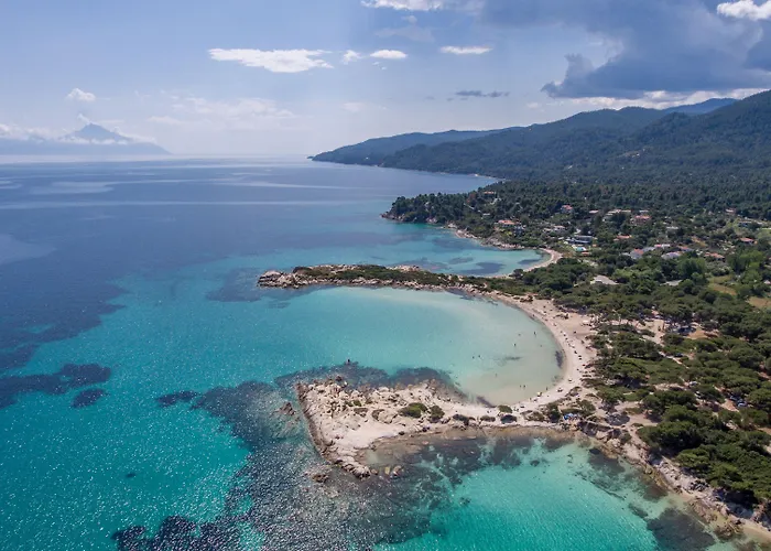 Top Studios Pensión 4*