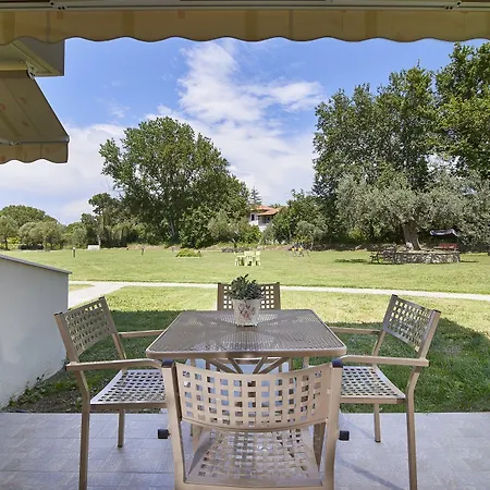 Guest house Top Studios 4*